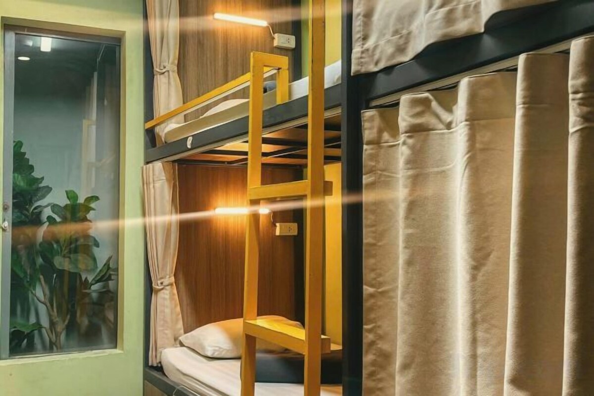 A bunk bed with a window and curtains, a bedside table, and a plant.