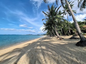 Una playa con palmeras y un cielo despejado.