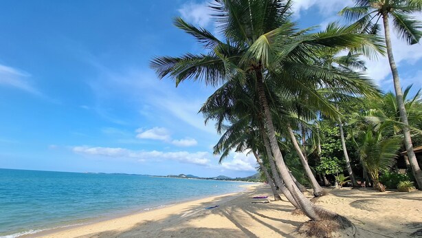 A sandy beach with palm trees and a clear blue sky. - Thiptara Resort - adults only (Koh Samui)
