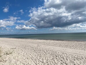 A sandy beach with footprints and sparse vegetation.