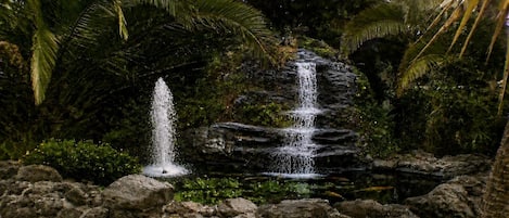 Une cascade d’eau se déversant sur des rochers, le tout entouré d’une végétation luxuriante.