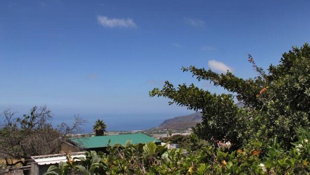 A coastal view with a clear sky, a green-roofed building, and lush vegetation.