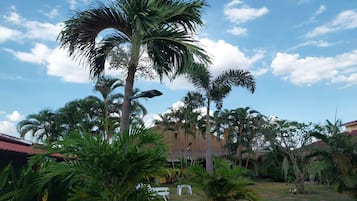 Bungalow, Patio | View from room