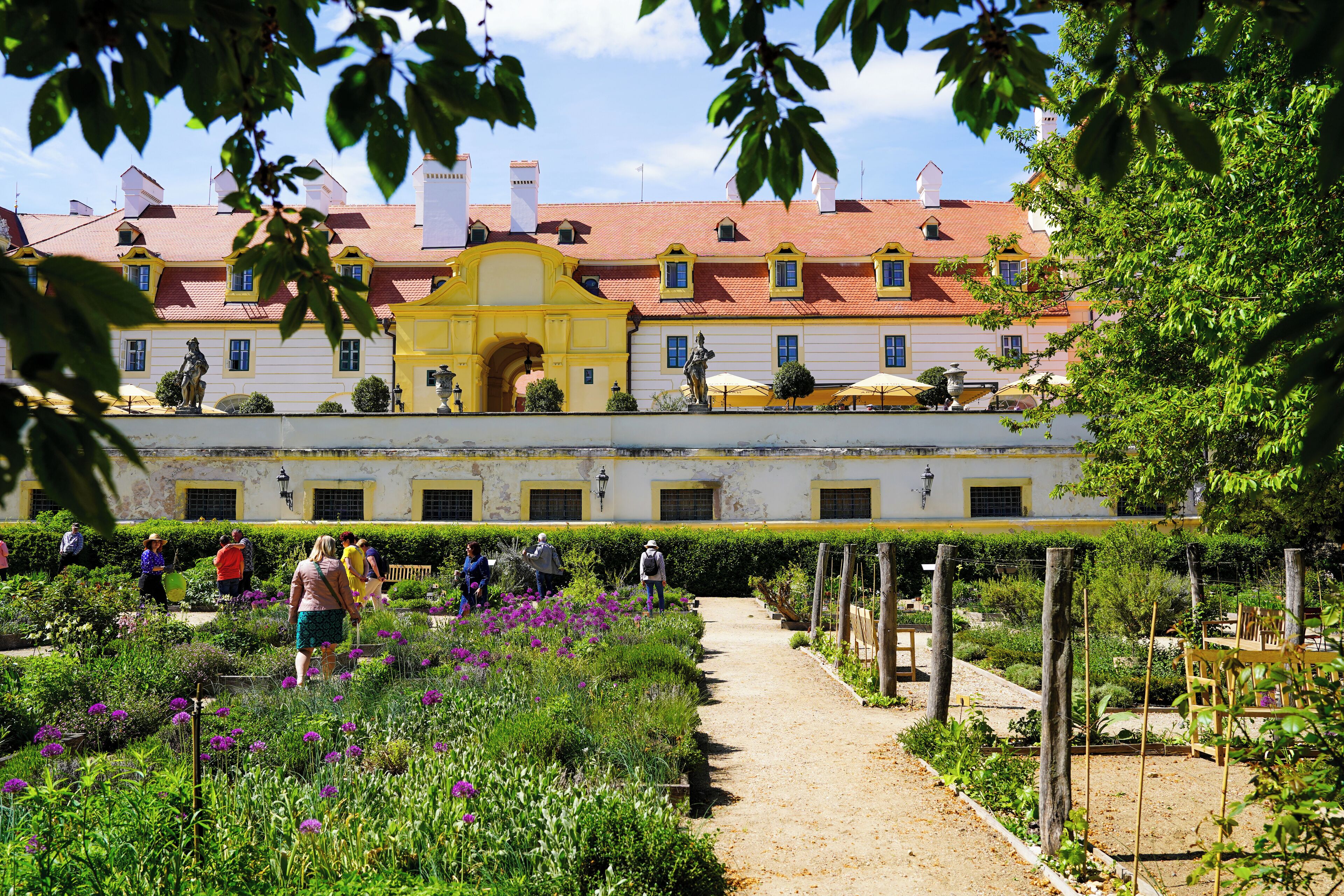 A garden pathway leading to a building with a yellow archway, surrounded by lush greenery and purple flowers.