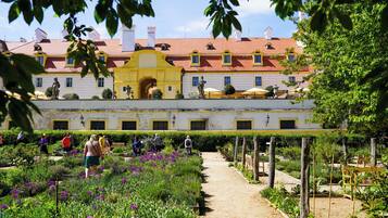 A garden pathway leading to a building with a yellow archway, surrounded by lush greenery and purple flowers.