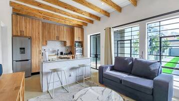TV, fireplace, books, stereo