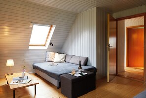 Téléviseur, lecteur de DVD, livres, sélection de musique