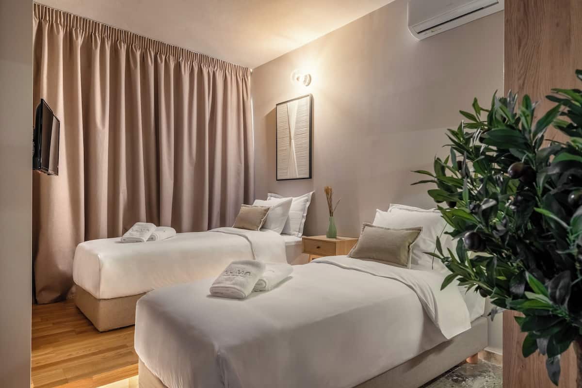 A hotel room with two beds, a bedside table with a vase, a wall-mounted air conditioner, and a potted plant.