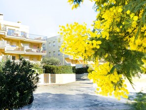 Stylish residential building with a flat roof and balconies, set amidst a well-maintained courtyard.