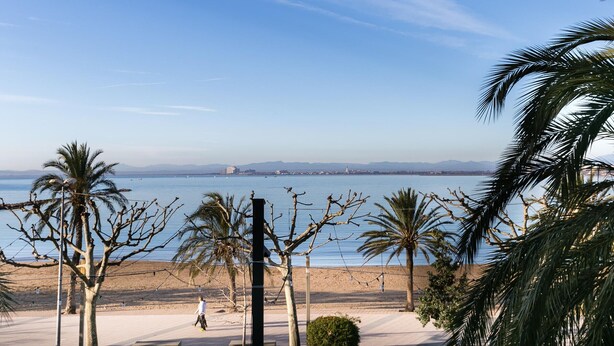 Ein Strand mit Palmen, einem klaren Himmel und einer entfernten Skyline.