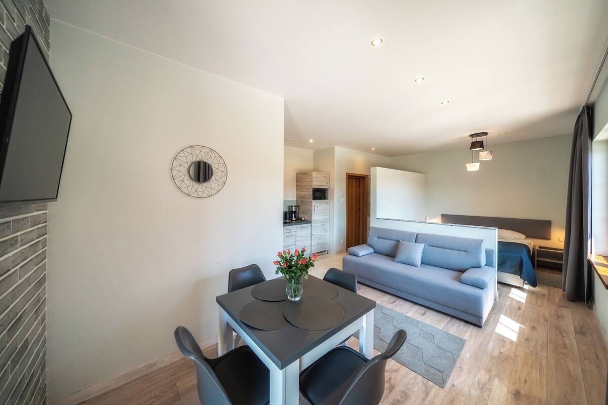 Comfort Studio Suite | Free WiFi
