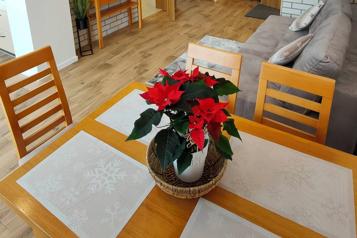 Comfort Apartment