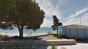 Una propiedad costera con un gran árbol, una playa y un edificio de techo inclinado.