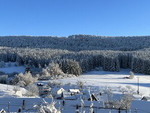 Paisatge cobert de neu amb cases i un bosc.