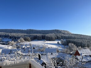 Balcony - Gemütliche,voll Ausgestattete Ferienwohnung im Oberen Schlichemtal (Hausen am Tann)