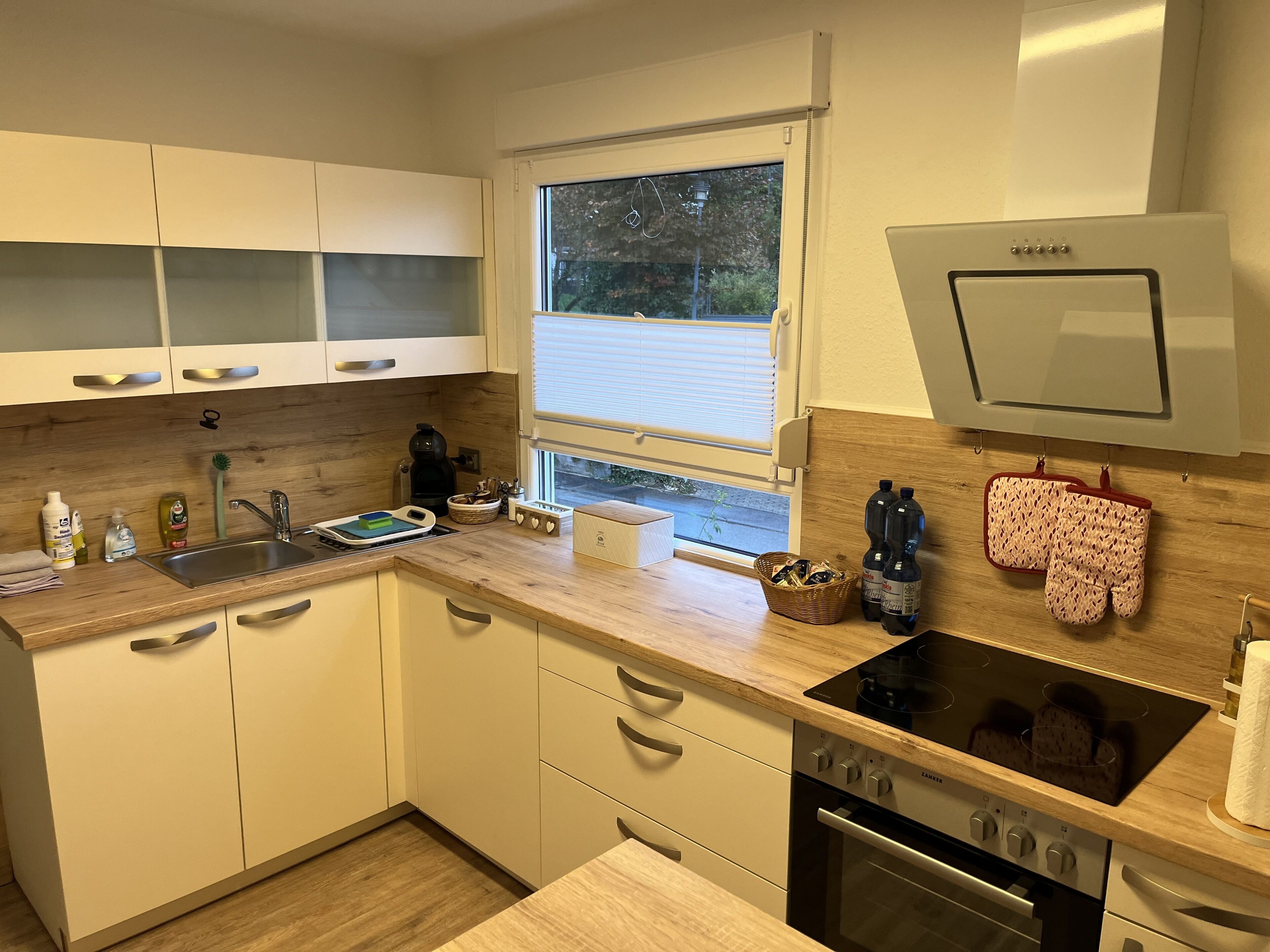 Kühlschrank, Mikrowelle, Herdplatte, Geschirrspüler