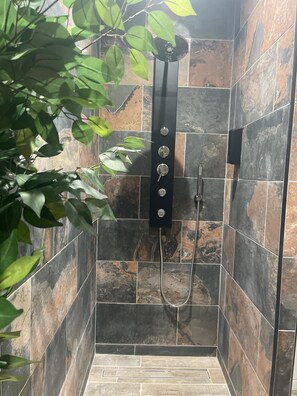 Shower, hair dryer, towels, soap