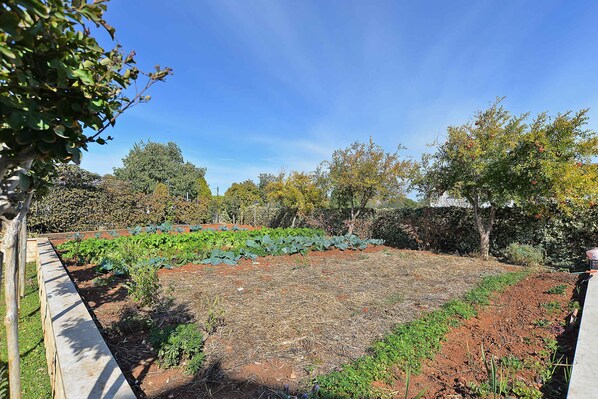 Property grounds - Holiday apartment with air conditioning (Rovinj)