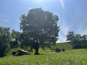 Cabin | Golf - Remarkable 2-bed Safari Lodge in Llanidloes (Llanidloes)