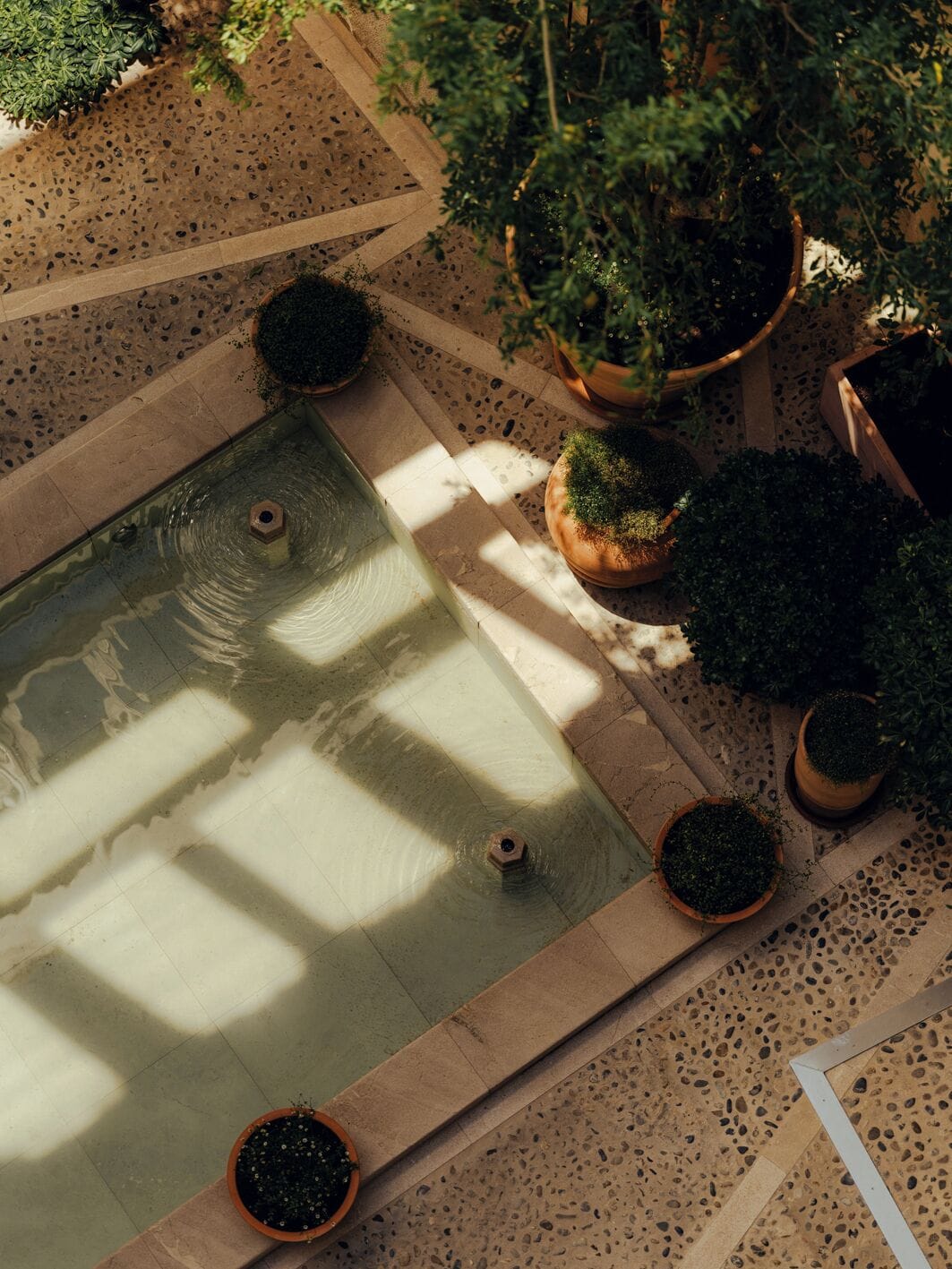 Foto - Portella Palma