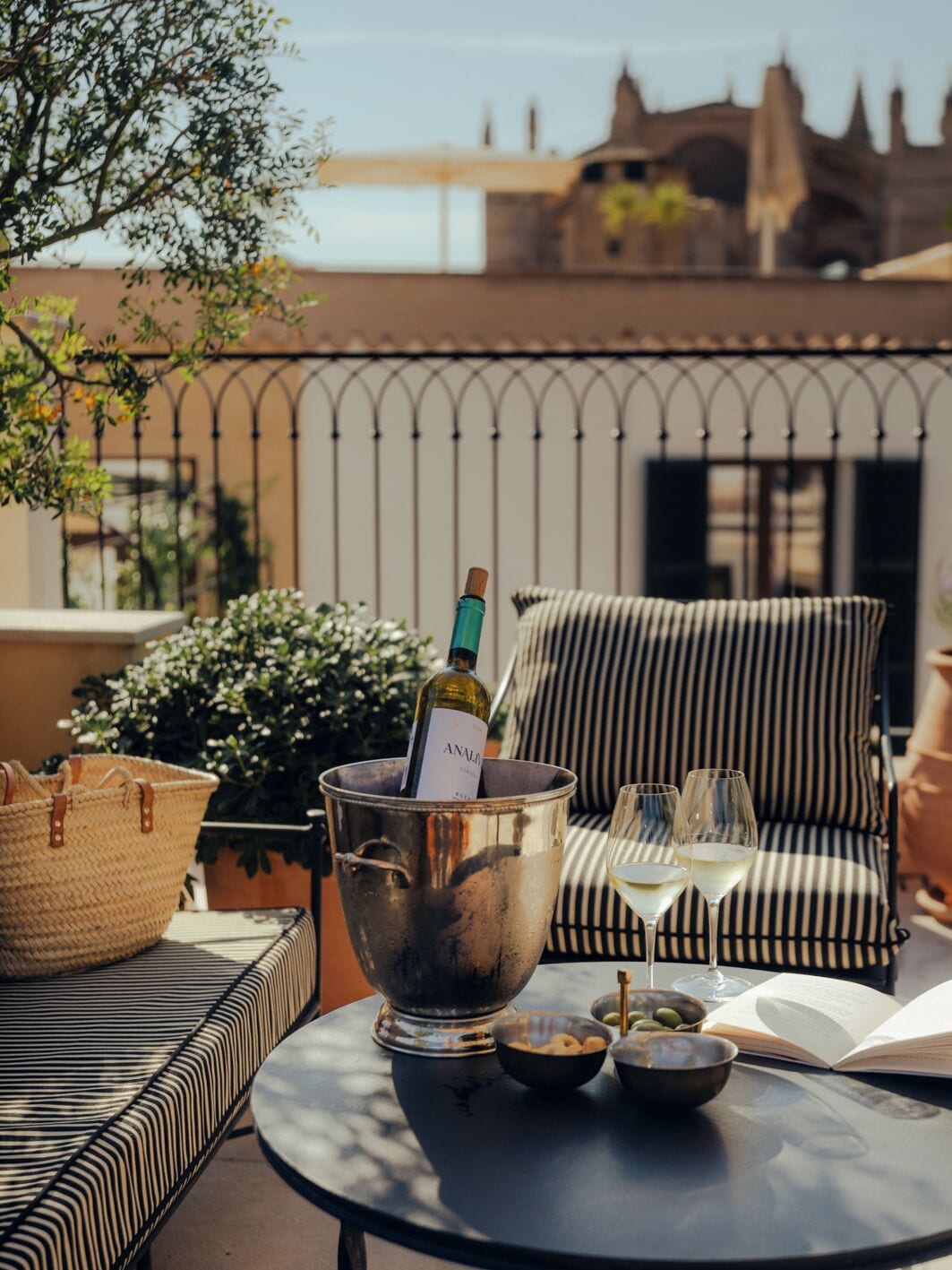 Foto - Portella Palma