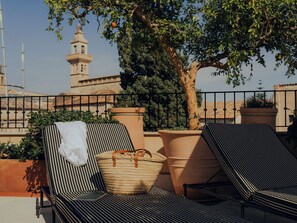 Terrace/patio - Portella Palma (Palma de Mallorca)