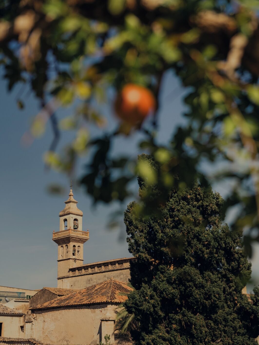 Foto - Portella Palma