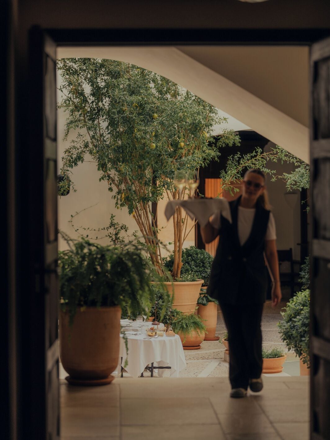 Foto - Portella Palma