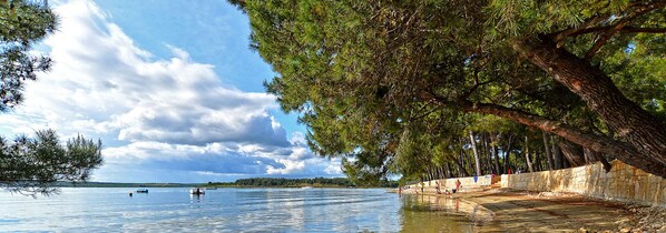 Guests can enjoy serene lakeside views and access to a sandy beach.