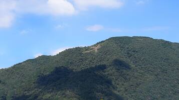 Una montaña con densa vegetación verde y cielo despejado.