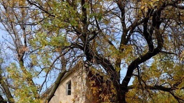 A two-story house with a porch, surrounded by trees with autumn leaves. - Zhenja and Lyuda's Boarding House (Zhabagly)