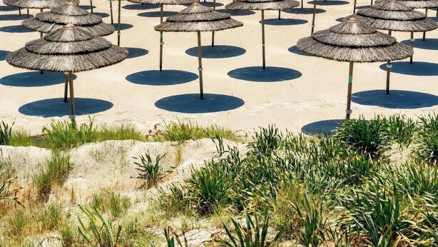 A beach with numerous thatched umbrellas arranged in rows. - Narcissos Nissi Beach Apartment E9 (Ayia Napa)
