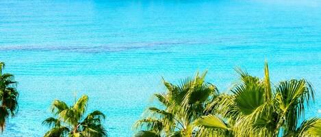 Beach nearby, white sand, beach umbrellas, beach towels