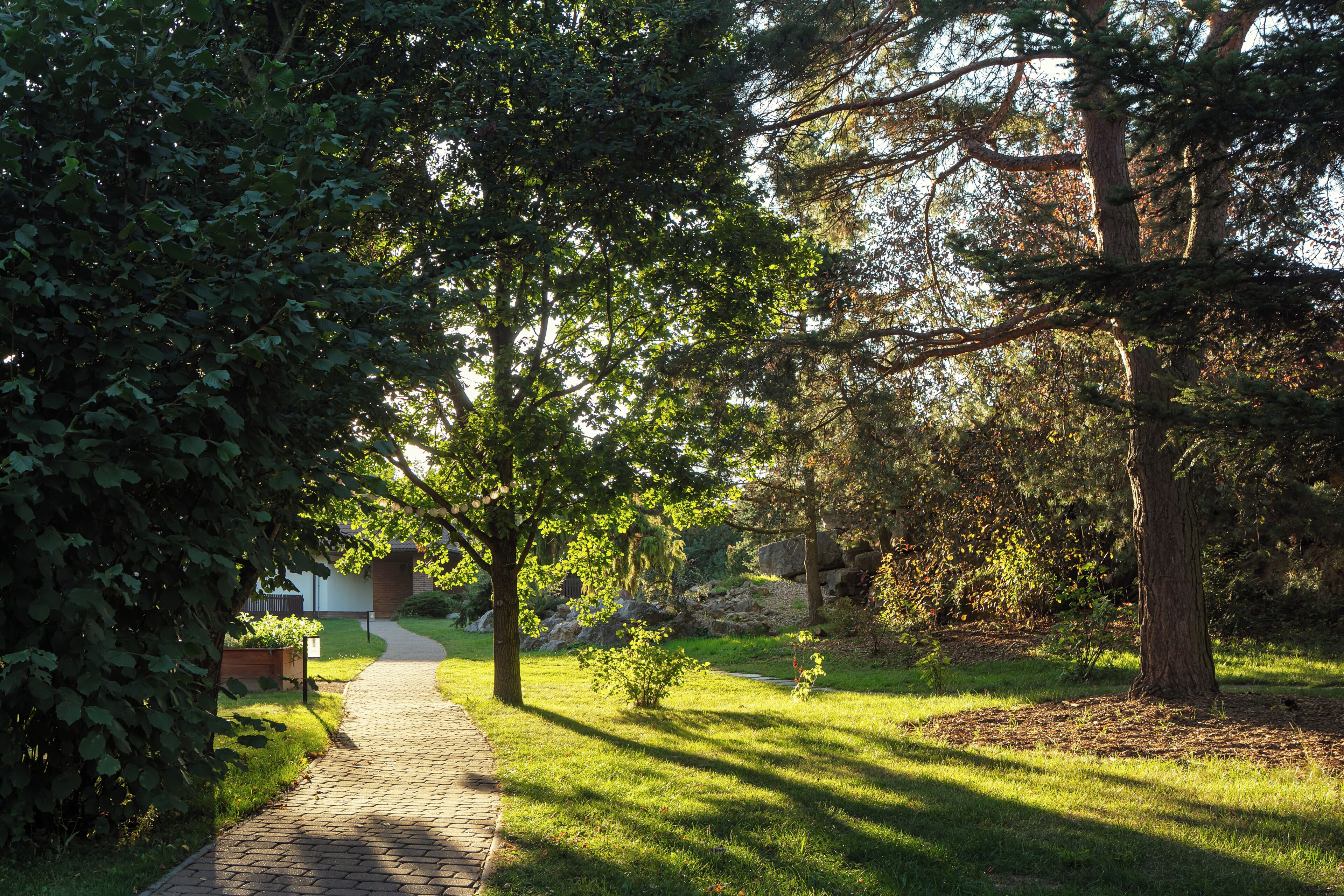 A paved pathway in a park-like setting with trees and a grassy area.