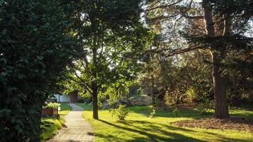 A paved pathway in a park-like setting with trees and a grassy area.