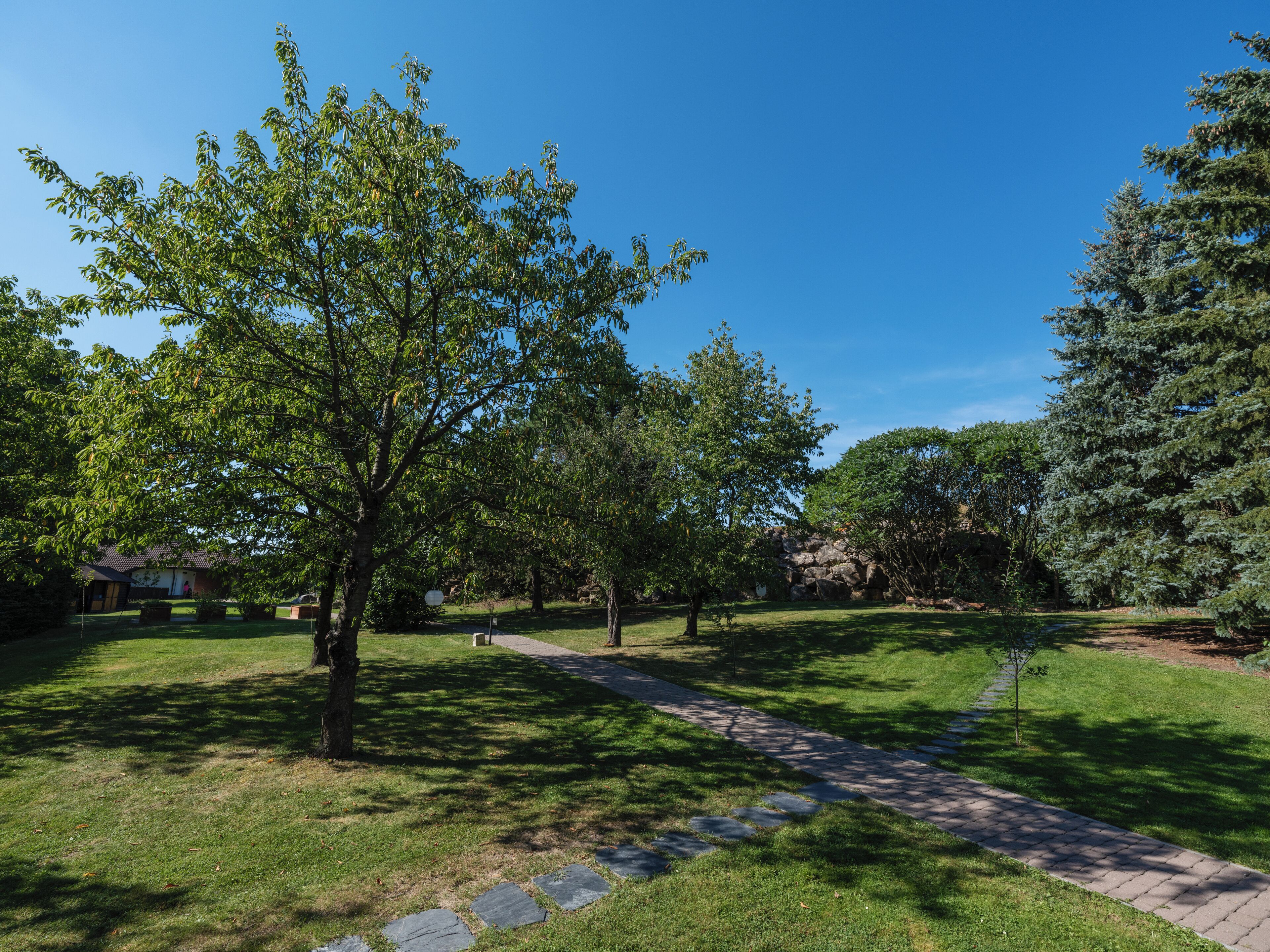 A park with a paved walkway, trees, and a building in the background.