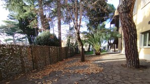 A paved pathway with scattered fallen leaves, a chain-link fence, and trees. - AH Roma (Rome)