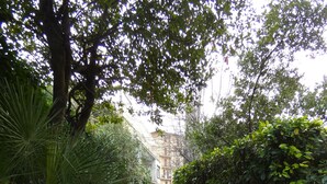 A gravel path flanked by dense greenery and a building in the background. - Scappo in Umbria, Casaleo (Perugia)