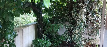 T2 Lumineux Avec Jardinet - Barbotan les Thermes