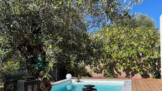 A swimming pool surrounded by a wooden deck, with two lanterns and a tree with green olives.