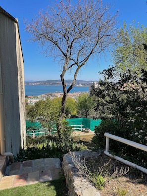 Vista d'una zona costanera amb cel clar, un arbre amb flors rosades i una visió llunyana d'una massa d'aigua i edificis.