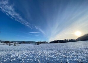 Regadera, secadora de cabello, toallas, jabón 