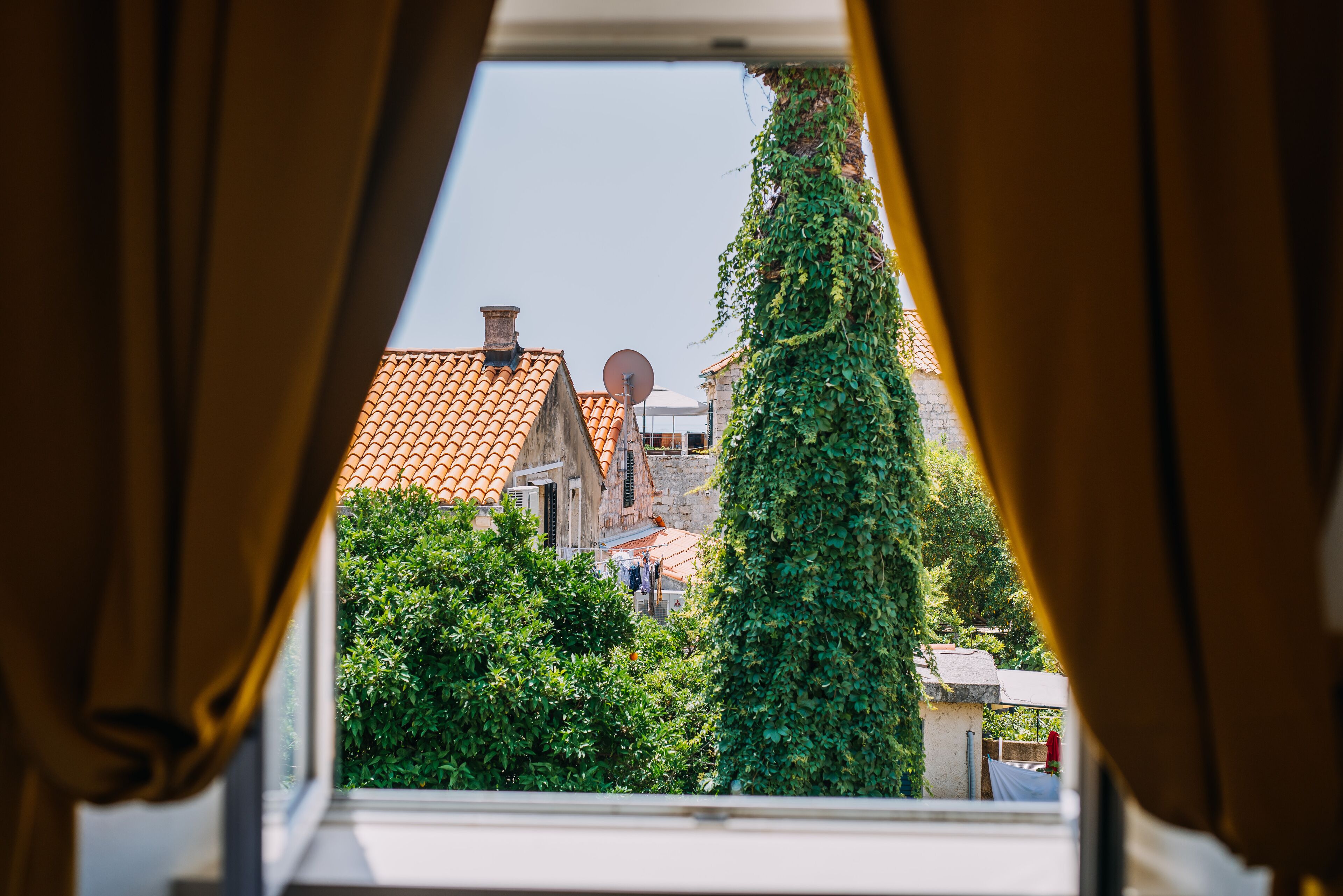 Uitzicht door een raam met gordijnen, waarop een gebouw met rode dakpannen, een schotelantenne en een hoge, met klimop begroeide boom te zien is.