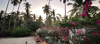Cozy apartment in beautiful stylish Mex casa 1 minute to longest wave in Mexico