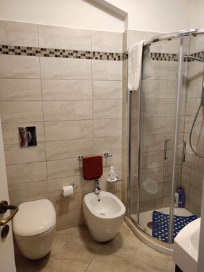 Shower, hair dryer, bidet, towels