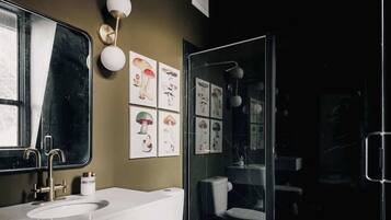 Shower, hair dryer, towels, shampoo