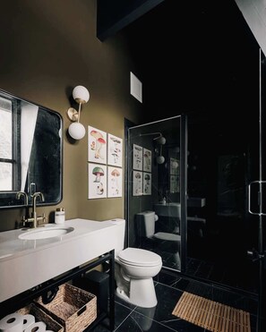 Douche, séchoir à cheveux, serviettes fournies, shampooing