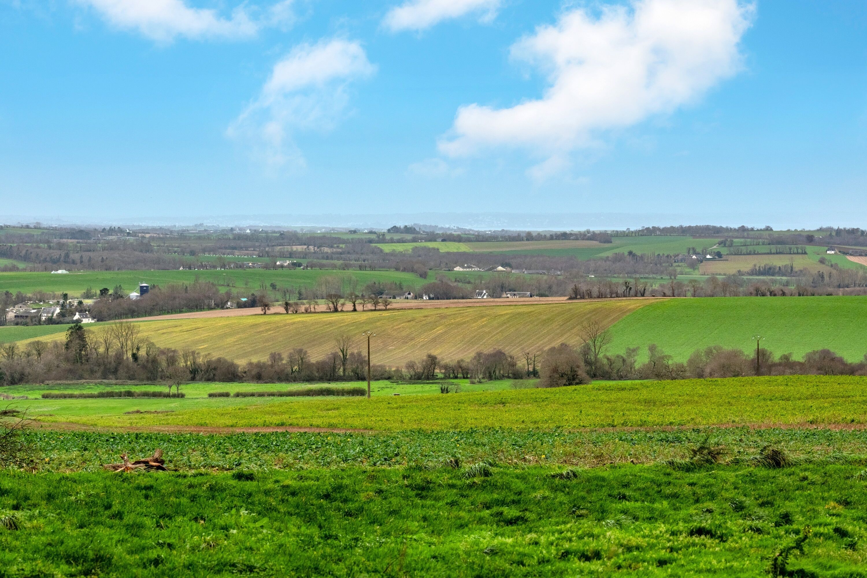 Ländliche Landschaft mit Feldern und verstreuten Häusern.