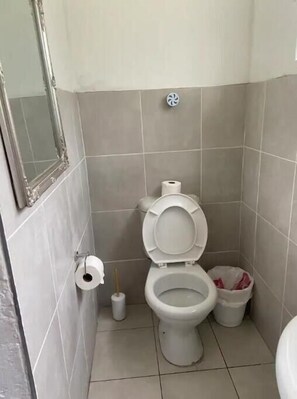 Secador de cabelo, toalhas de banho, papel higiênico 