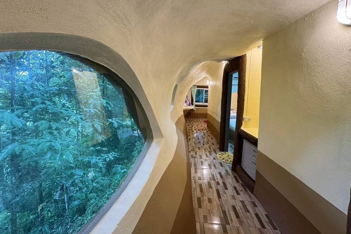A hallway with a curved ceiling, a large window with a view of dense foliage, and a patterned floor.